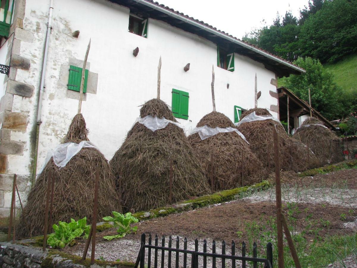 Albergue Olasenea Aterpea Zubieta Exterior foto